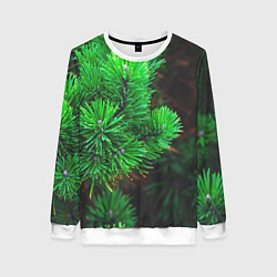 Женский свитшот Зелёный лес России