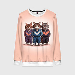 Женский свитшот Три полосатых кота в спортивных костюмах пацана