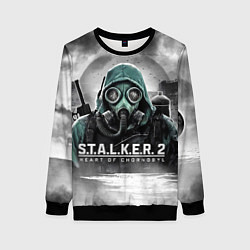 Свитшот женский Stalker 2 heart of Chornobyl radiation, цвет: 3D-черный