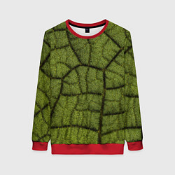 Свитшот женский Микромир, цвет: 3D-красный