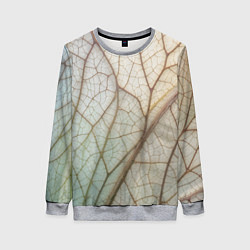 Женский свитшот Прожилки листика