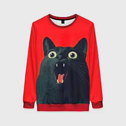Свитшот женский Котик в шоке, цвет: 3D-красный