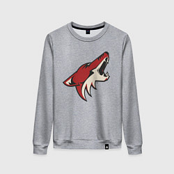 Свитшот хлопковый женский Phoenix Coyotes, цвет: меланж