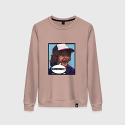 Свитшот хлопковый женский Очень странные дела, цвет: пыльно-розовый