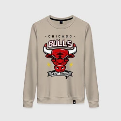 Свитшот хлопковый женский Chicago Bulls est. 1966, цвет: миндальный