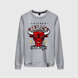 Свитшот хлопковый женский Chicago Bulls est. 1966, цвет: меланж