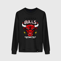 Женский свитшот Chicago Bulls est. 1966