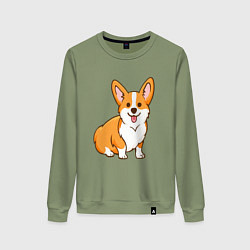 Свитшот хлопковый женский Корги, цвет: авокадо