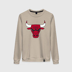 Женский свитшот Chicago Bulls