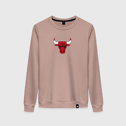 Женский свитшот CHICAGO BULLS