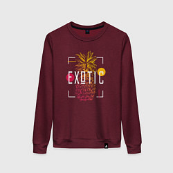 Женский свитшот Ананас с надписью Exotic