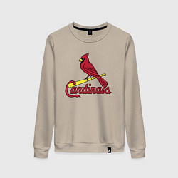 Женский свитшот St Louis Cardinals - baseball team