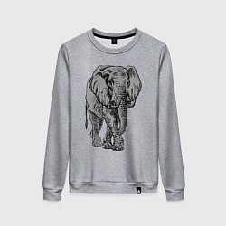 Свитшот хлопковый женский Огромный могучий слон, цвет: меланж