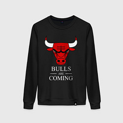 Женский свитшот Chicago Bulls are coming Чикаго Буллз