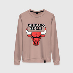 Женский свитшот Chicago Bulls