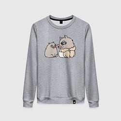 Свитшот хлопковый женский Малыш иноске, цвет: меланж