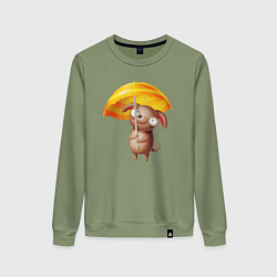 Свитшот хлопковый женский Маленькая собачка с зонтиком, цвет: авокадо