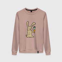 Свитшот хлопковый женский Rabbit & Carrot, цвет: пыльно-розовый