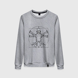 Свитшот хлопковый женский Vitruvian Bender, цвет: меланж