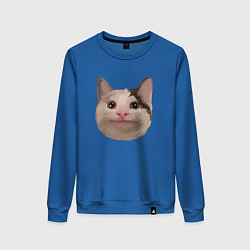 Свитшот хлопковый женский Polite cat meme, цвет: синий