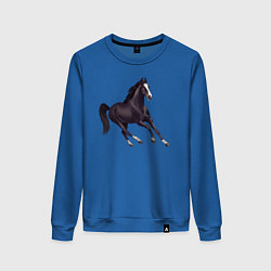 Свитшот хлопковый женский Марварская лошадь, цвет: синий