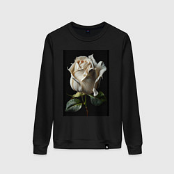 Свитшот хлопковый женский Белая роза, цвет: черный