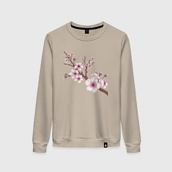 Свитшот хлопковый женский Ветка сакуры - весна - Япония, цвет: миндальный