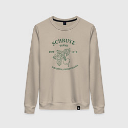 Свитшот хлопковый женский Ферма Шрутов, цвет: миндальный