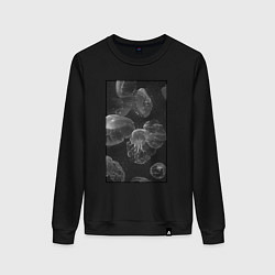 Свитшот хлопковый женский Jellyfishes black, цвет: черный