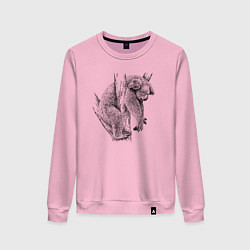 Женский свитшот Коала спит на дереве