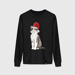 Свитшот хлопковый женский Пятнистый кот в новогодней шапочке, цвет: черный