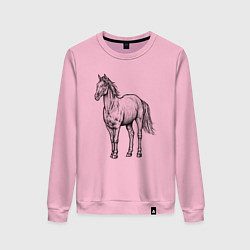 Свитшот хлопковый женский Лошадь стоит, цвет: светло-розовый