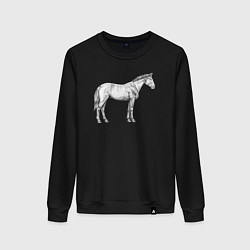 Свитшот хлопковый женский Белая лошадь сбоку, цвет: черный