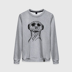Свитшот хлопковый женский Сурикат любопытный, цвет: меланж