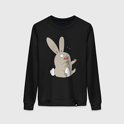 Женский свитшот Funny bunny