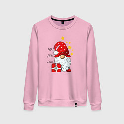 Женский свитшот Милый гном с подарком