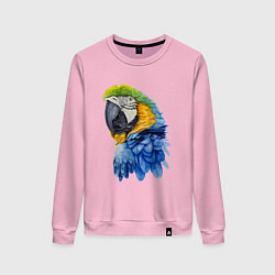 Свитшот хлопковый женский Сине-золотой попугай ара, цвет: светло-розовый