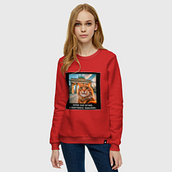 Свитшот хлопковый женский Рыжий кот: хотел как лучше получилось идеально, цвет: красный — фото 2
