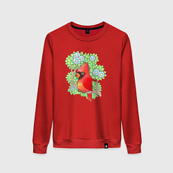 Женский свитшот Красный кардинал на ветке