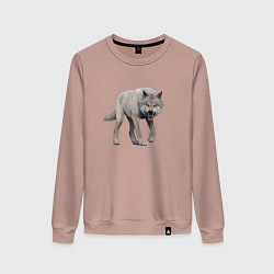 Свитшот хлопковый женский Волк рычит, цвет: пыльно-розовый