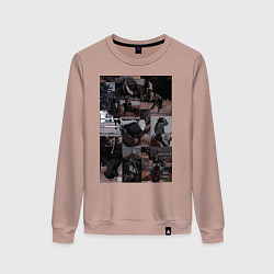 Свитшот хлопковый женский Конный спорт коллаж, цвет: пыльно-розовый