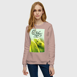 Свитшот хлопковый женский Символ 2025 года зеленая змея и надпись: с новым г, цвет: пыльно-розовый — фото 2