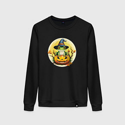 Свитшот хлопковый женский Лягушка ведьма на тыкве, цвет: черный