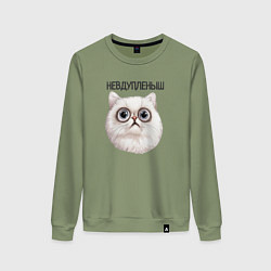 Свитшот хлопковый женский Кот невдупленыш, цвет: авокадо