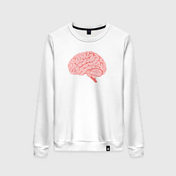 Женский свитшот Мозг иллюстрация