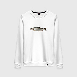Свитшот хлопковый женский Селёдка в профиль, цвет: белый