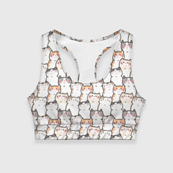 Женский спортивный топ Кошки котики коты