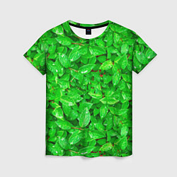 Футболка женская Зелёные листья - текстура, цвет: 3D-принт