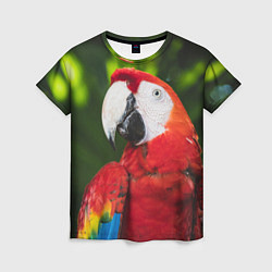 Футболка женская Красный попугай Ара, цвет: 3D-принт