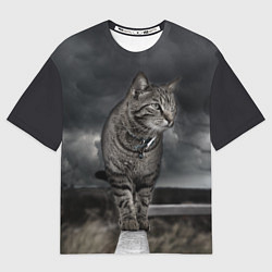 Женская футболка оверсайз Кот